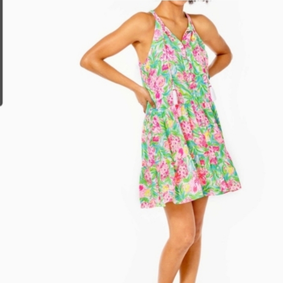 Lilly Pulitzer Dresses & Skirts - Lilly Pulitzer Carolane dress